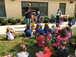 Second Grade Learns About the Life Cycle of Bees